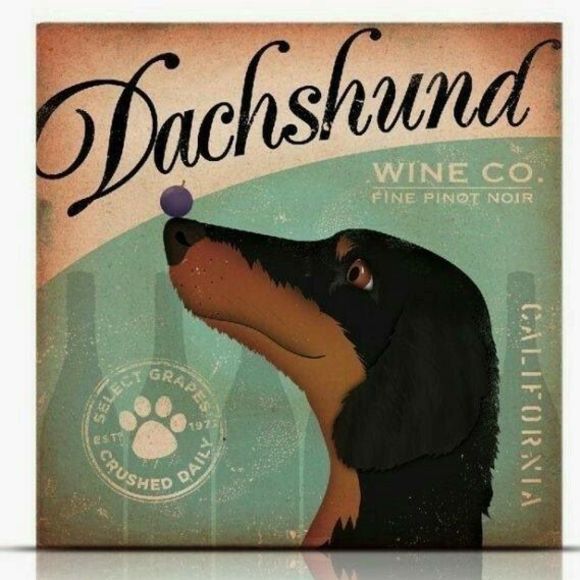 Meet your Posher, Terri - Picture 1 of 1